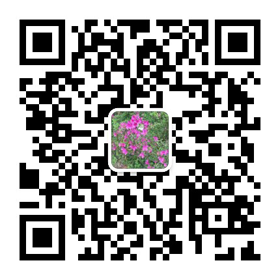 二维码